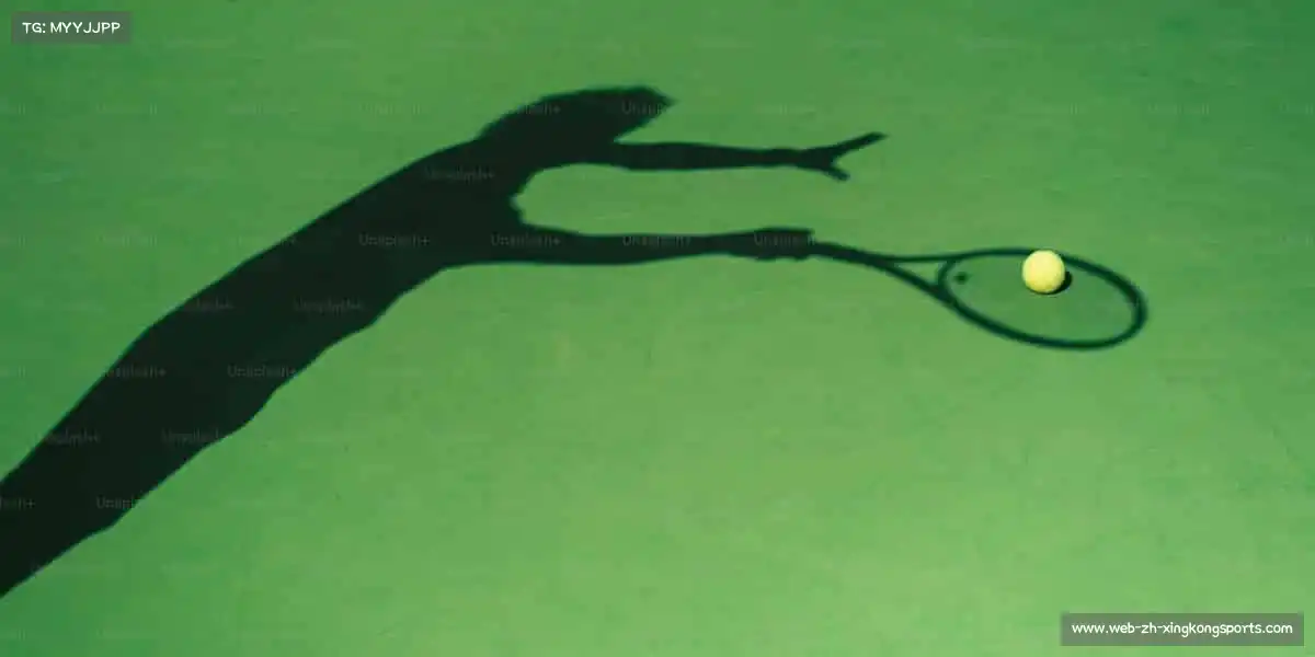 为什么选择我们